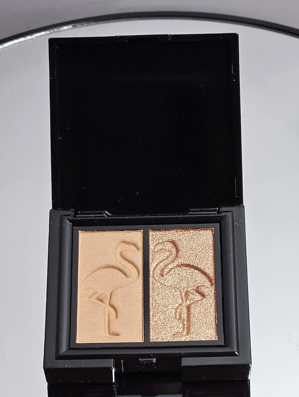 Shaina B. Miami Eye Shadow In Wynwood & Heat